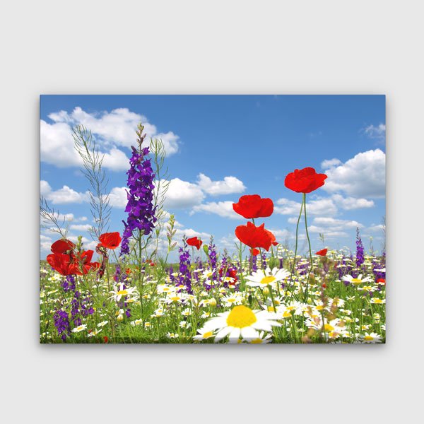 Vahşi Çiçek Tarlası Duvar Dekoru Büyük Ebat 13365
