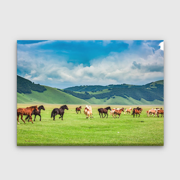 wall-design-art-13394-00 Koşan Atlar ve Yeşil Ova Manzarası Duvar Tablosu 13394