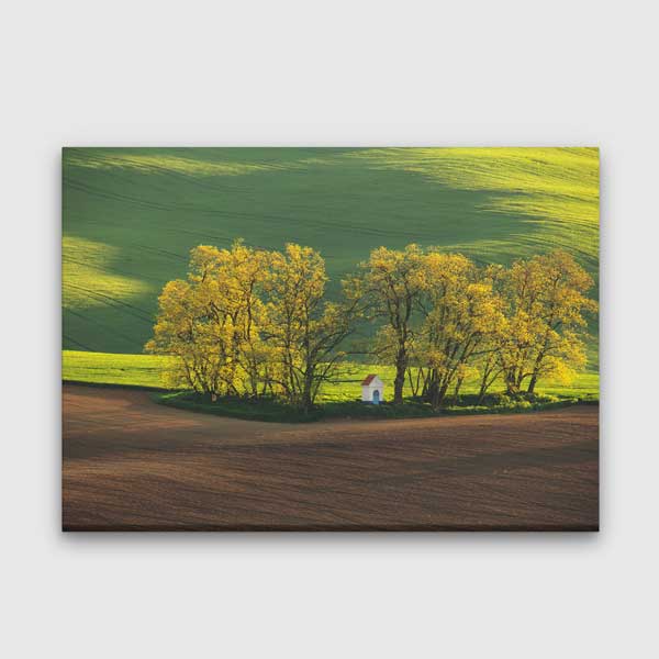 wall-design-art-13395-00 Yeşil Ovalar ve Ağaçlık Alan Manzarası Duvar Tablosu 13395