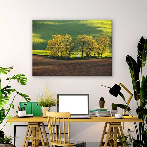 wall-design-art-13395-02 Yeşil Ovalar ve Ağaçlık Alan Manzarası Duvar Tablosu 13395