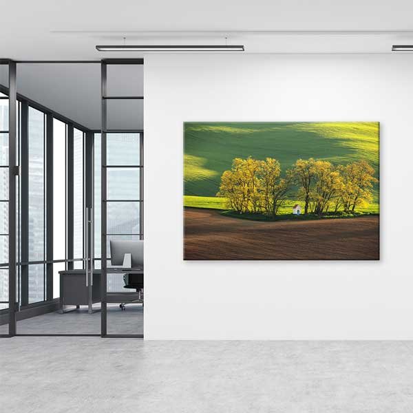 wall-design-art-13395-04 Yeşil Ovalar ve Ağaçlık Alan Manzarası Duvar Tablosu 13395