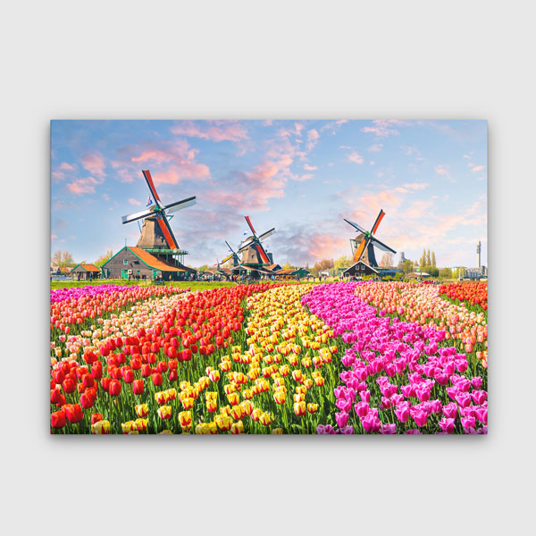Lale Tarlası ve Yel Değirmenleri Manzarası Duvar Tablosu 13405