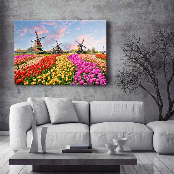 Lale Tarlası ve Yel Değirmenleri Manzarası Duvar Tablosu 13405