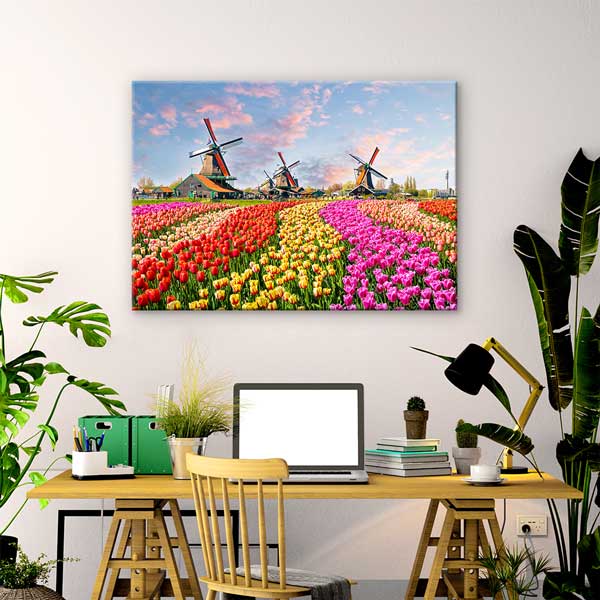 Lale Tarlası ve Yel Değirmenleri Manzarası Duvar Tablosu 13405
