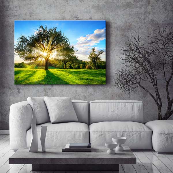 Güneş Işıkları Altında Ağaç ve Yeşil Çayır Manzarası Duvar Tablosu 13408