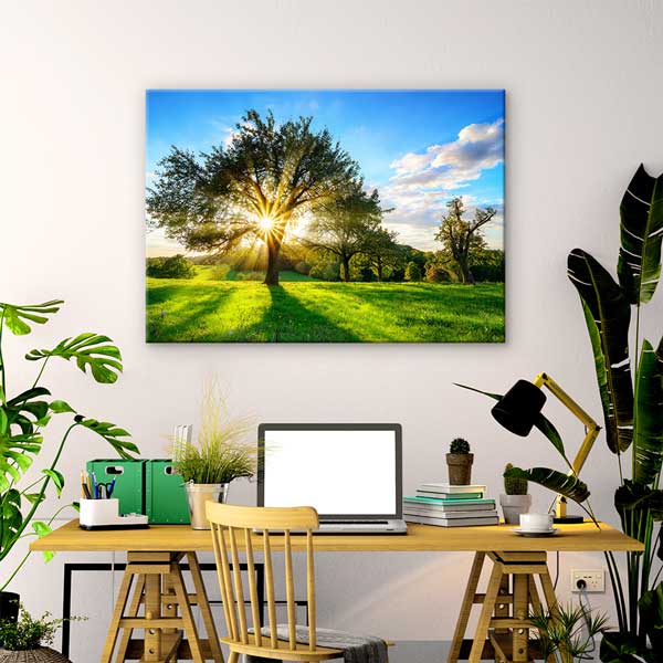 Güneş Işıkları Altında Ağaç ve Yeşil Çayır Manzarası Duvar Tablosu 13408