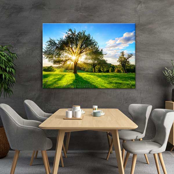 Güneş Işıkları Altında Ağaç ve Yeşil Çayır Manzarası Duvar Tablosu 13408