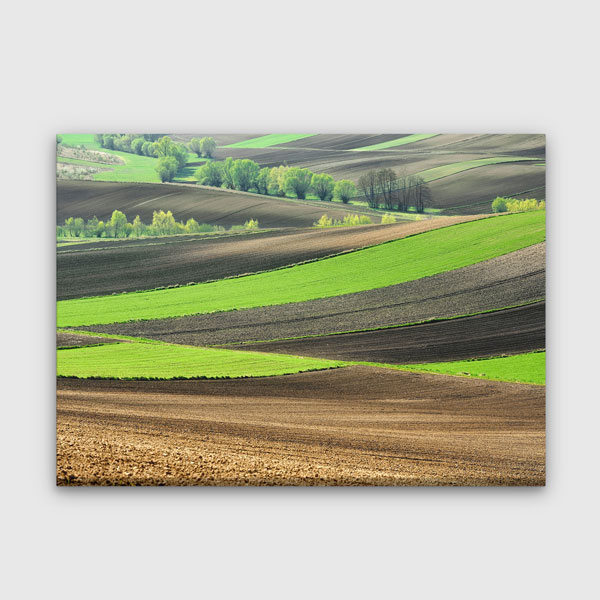 wall-design-art-13409-00 Yeşil Tarım Arazileri ve Kavisli Arazi Deseni Manzarası Duvar Tablosu 13409
