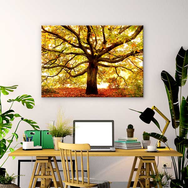 Sonbahar Altın Yapraklı Ağaç Manzarası Kanvas Tablo 13447