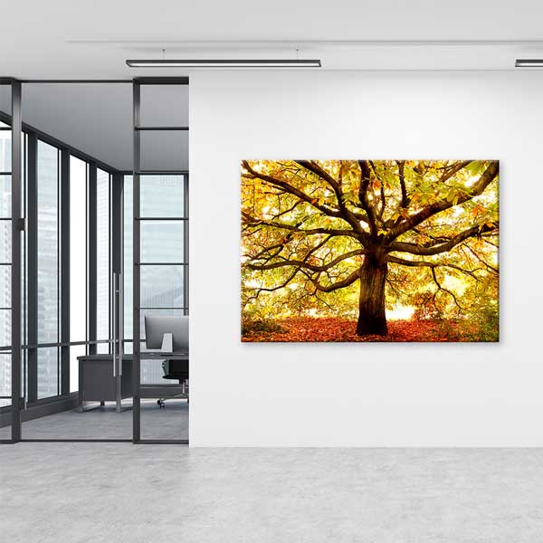 Sonbahar Altın Yapraklı Ağaç Manzarası Kanvas Tablo 13447