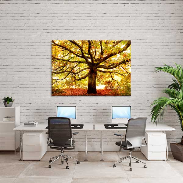 Sonbahar Altın Yapraklı Ağaç Manzarası Kanvas Tablo 13447
