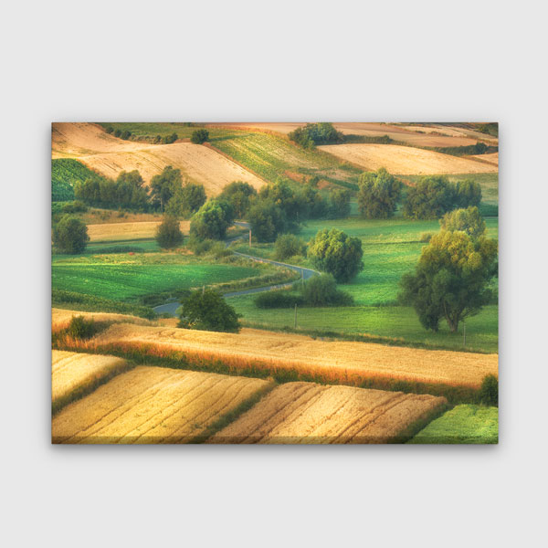Kırsal Tarım Arazisi Doğa Manzarası Kanvas Tablo 13490