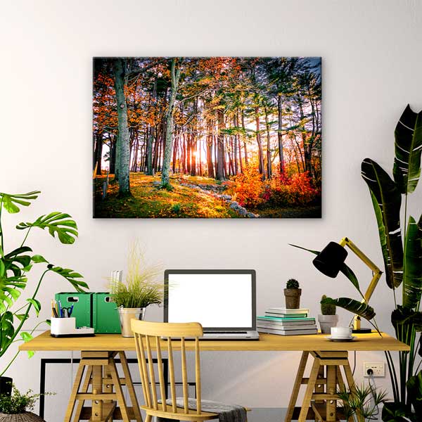 Gün Işığıyla Aydınlanan Sonbahar Ormanı Manzarası Kanvas Tablo 13615