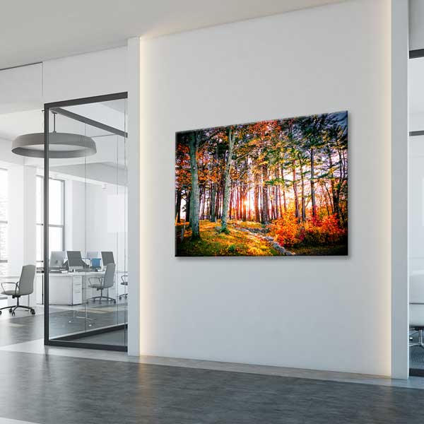 Gün Işığıyla Aydınlanan Sonbahar Ormanı Manzarası Kanvas Tablo 13615