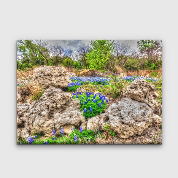 wall-design-art-13636-00 Kayalık Doğada Mor Yabani Çiçekler Manzara Duvar Tablosu 13636