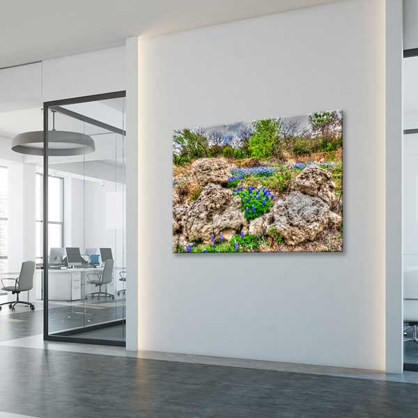 Kayalık Doğada Mor Yabani Çiçekler Manzara Duvar Tablosu 13636