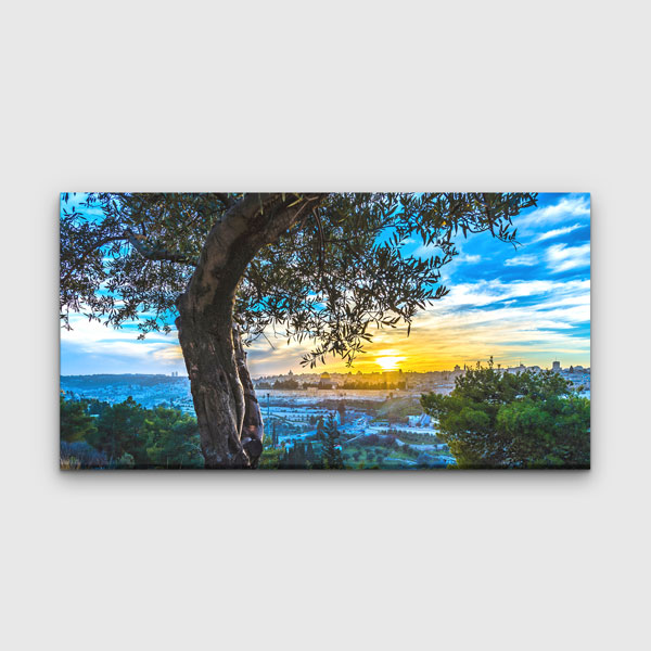Zeytin Ağacı ve Gün Batımı Şehir Manzarası Kanvas Tablo – 13660