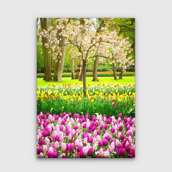 Renkli Lale Bahçesi Manzara Kanvas Tablo 13844