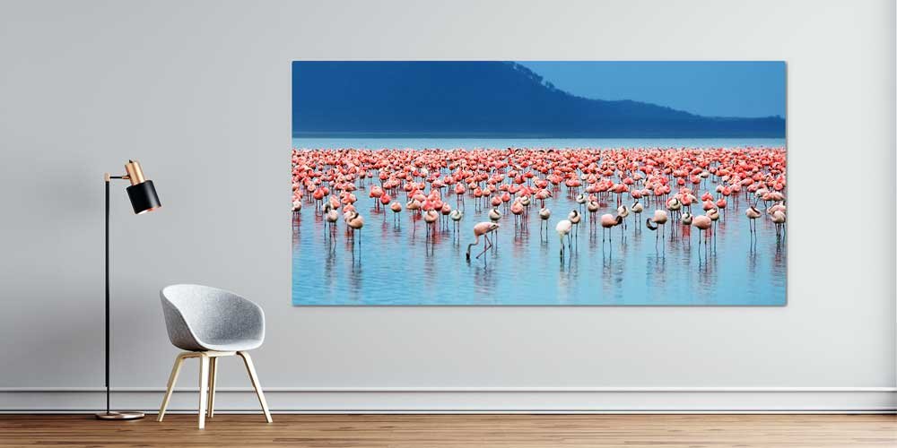 Göl Üzerinde Flamingo Sürüsü Büyük Ebat Duvar Dekoru 13998