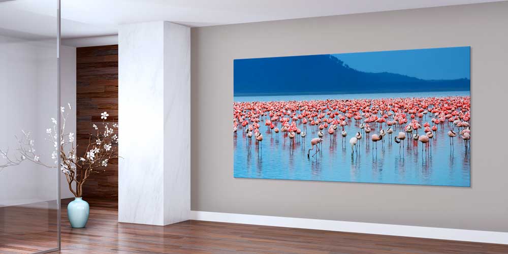 Göl Üzerinde Flamingo Sürüsü Büyük Ebat Duvar Dekoru 13998