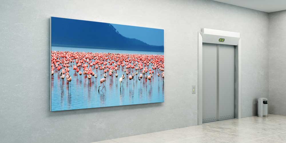 Göl Üzerinde Flamingo Sürüsü Büyük Ebat Duvar Dekoru 13998