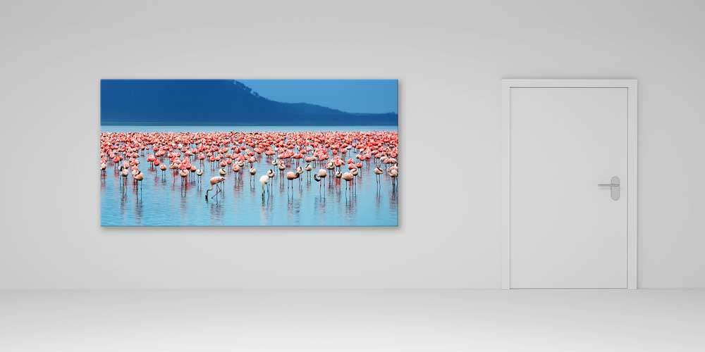 Göl Üzerinde Flamingo Sürüsü Büyük Ebat Duvar Dekoru 13998