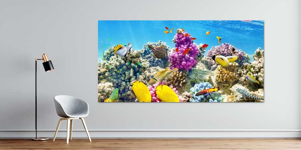 Büyük Ebat Renkli Mercan Resifi ve Tropik Balıklar Duvar Dekoru 14034