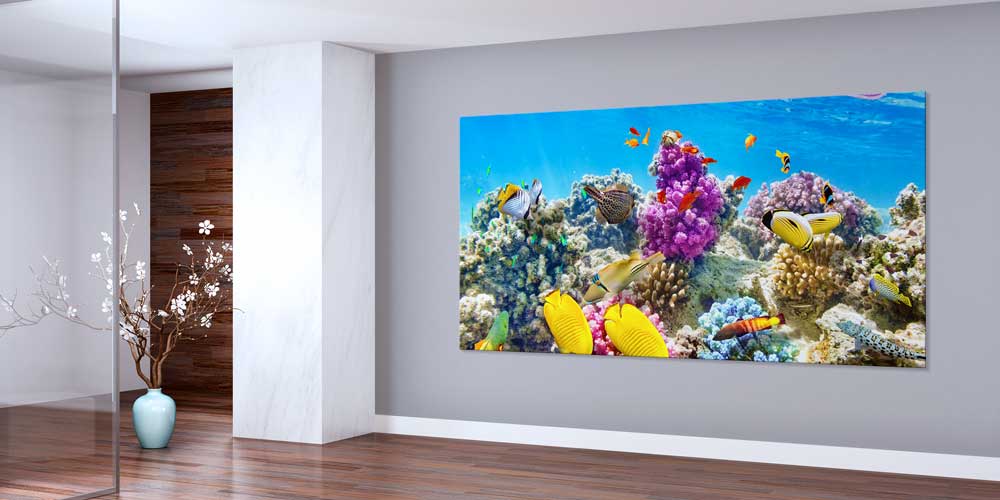 Büyük Ebat Renkli Mercan Resifi ve Tropik Balıklar Duvar Dekoru 14034