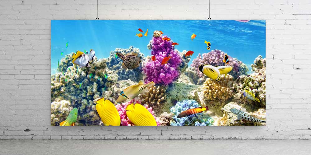Büyük Ebat Renkli Mercan Resifi ve Tropik Balıklar Duvar Dekoru 14034