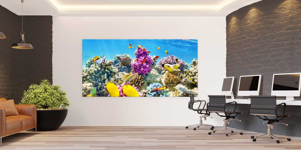 Büyük Ebat Renkli Mercan Resifi ve Tropik Balıklar Duvar Dekoru 14034