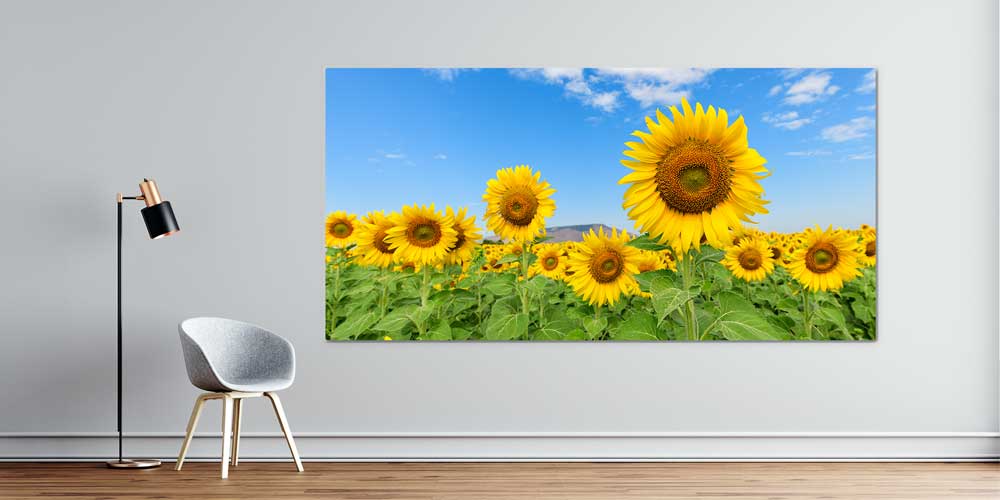 Ayçiçeği Tarlası ve Mavi Gökyüzü Büyük Duvar Dekoru 14063