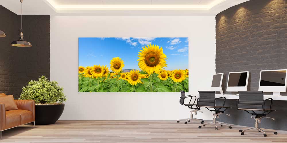 Ayçiçeği Tarlası ve Mavi Gökyüzü Büyük Duvar Dekoru 14063