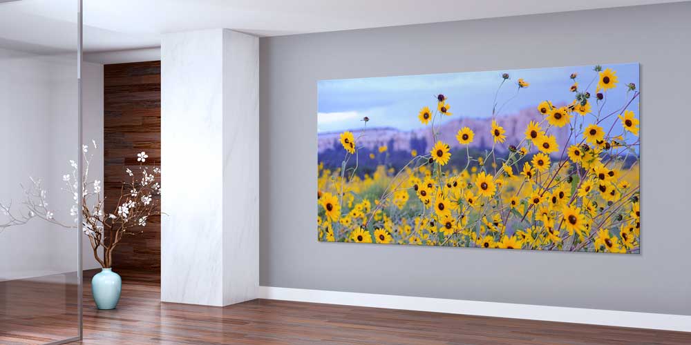 Sarı Kır Çiçekleri Doğa Manzarası Büyük Ebat Duvar Dekor Ürünü 14156