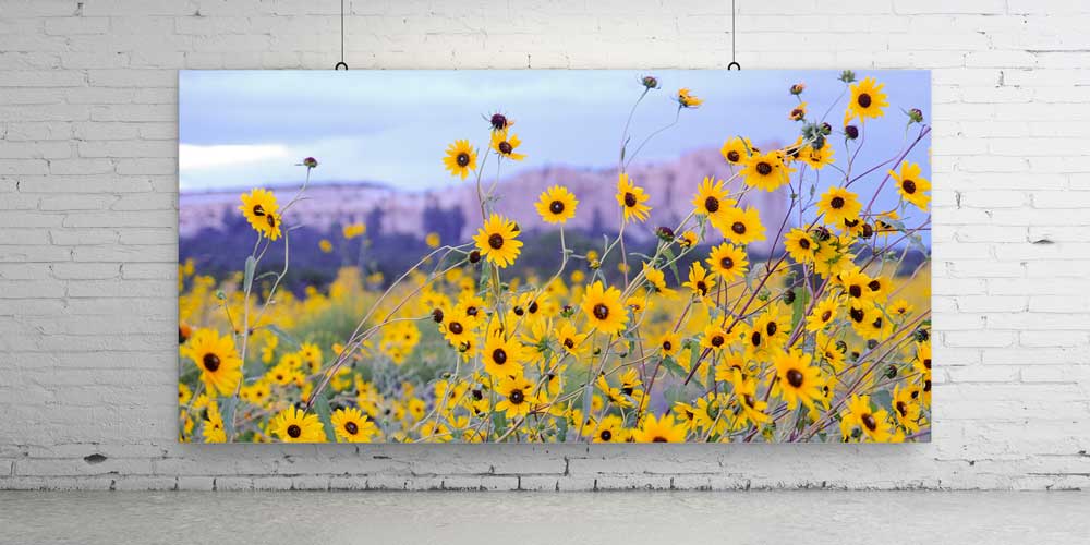 Sarı Kır Çiçekleri Doğa Manzarası Büyük Ebat Duvar Dekor Ürünü 14156
