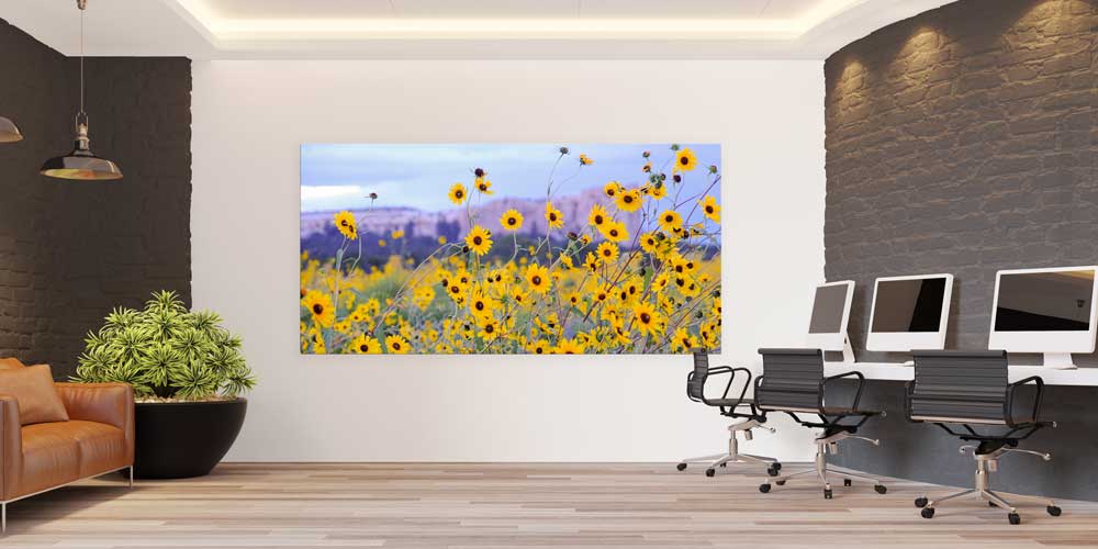 Sarı Kır Çiçekleri Doğa Manzarası Büyük Ebat Duvar Dekor Ürünü 14156