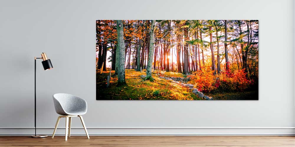 wall-design-art-14158-00 Sonbahar Ormanında Gün Işığı Manzarası Büyük Ebat Duvar Dekor Ürünü 14158