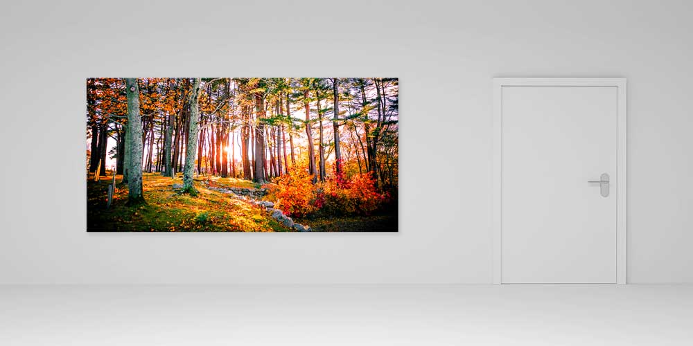 Sonbahar Ormanında Gün Işığı Manzarası Büyük Ebat Duvar Dekor Ürünü 14158