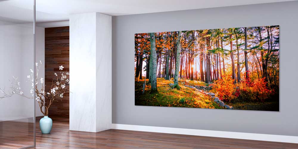 Sonbahar Ormanında Gün Işığı Manzarası Büyük Ebat Duvar Dekor Ürünü 14158