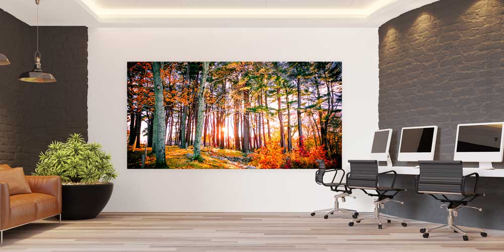 Sonbahar Ormanında Gün Işığı Manzarası Büyük Ebat Duvar Dekor Ürünü 14158