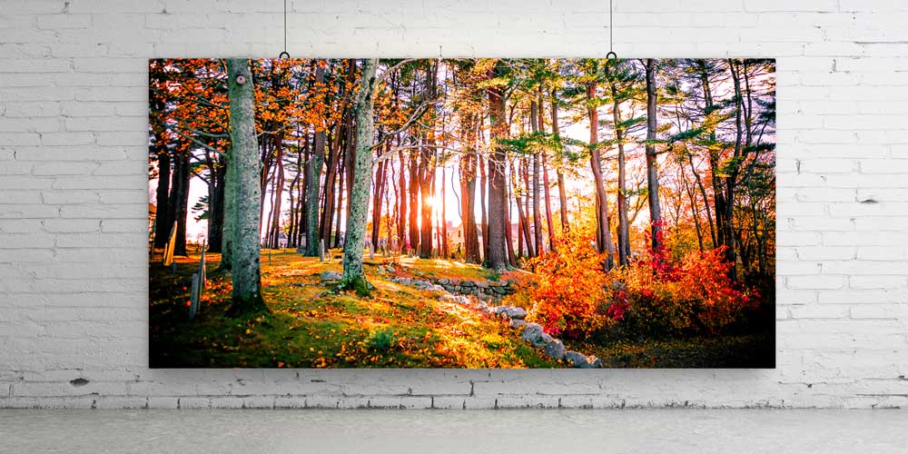 Sonbahar Ormanında Gün Işığı Manzarası Büyük Ebat Duvar Dekor Ürünü 14158