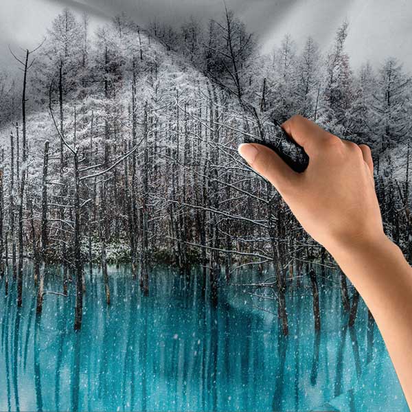 Karlı Orman ve Turkuaz Göl Duvar Örtüsü 14304