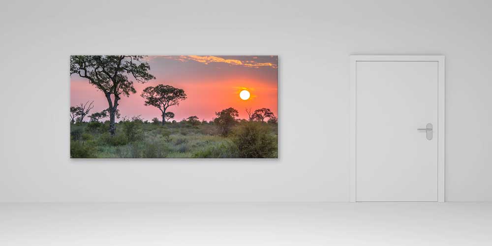 wall-design-art-decor-14008-04 Afrika Savanında Gün Batımı Büyük Ebat Duvar Dekoru 14008