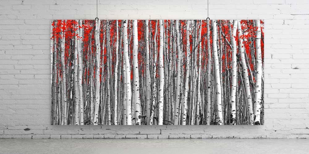 Kırmızı Yapraklı Huş Ormanı Manzarası Büyük Ebat Duvar Dekor Ürünü 14178