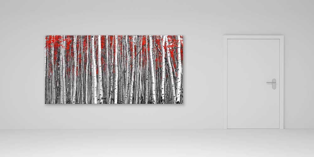 Kırmızı Yapraklı Huş Ormanı Manzarası Büyük Ebat Duvar Dekor Ürünü 14178