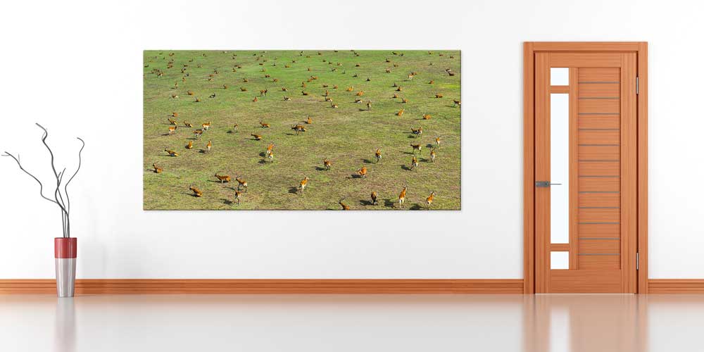 Afrika Antilop Sürüsü Büyük Ebat Duvar Dekoru 14010