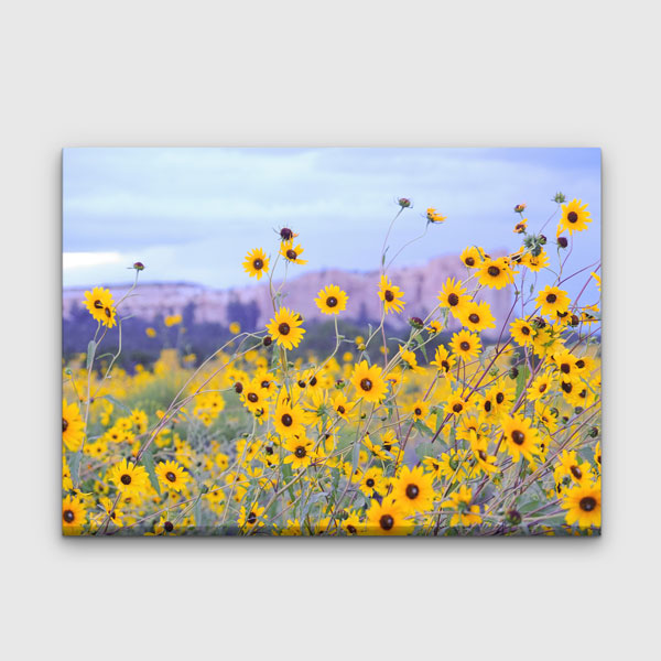 Sarı Yabani Çiçekler ve Bahar Ovası Manzarası Kanvas Tablo 13612
