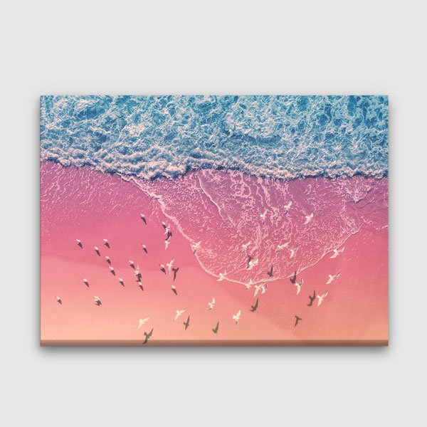 Pembe Sahil ve Kuşlar Kanvas Tablo 13316