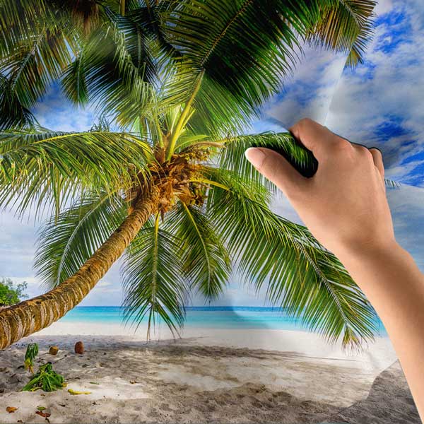 wall-design-decor-14286-04 Tropikal Sahil ve Palmiye Ağacı Deniz Manzarası Duvar Örtüsü Kumaş Baskı 14286