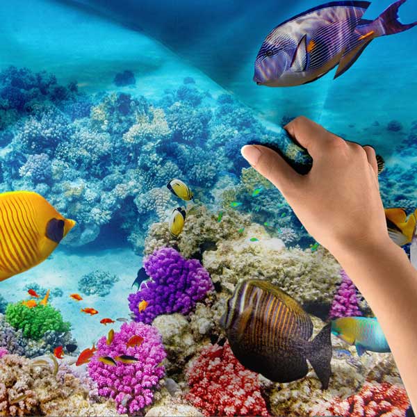Tropikal Balıklar ve Renkli Mercan Resifleri Duvar Örtüsü 14301