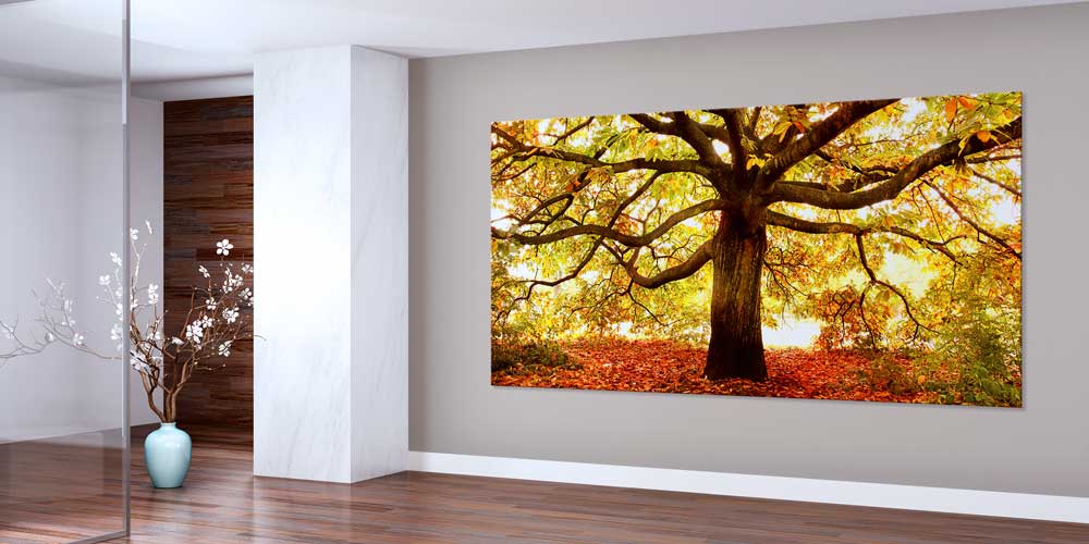 Sonbahar Yayılı Koca Meşe Ağacı Büyük Ebat Duvar Dekoru 14242